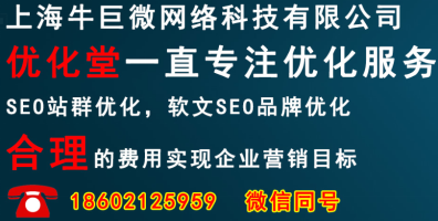 九游会app下载:上海网络科技有限公司-牛巨微-值得信任的网站优化上海SEO公司